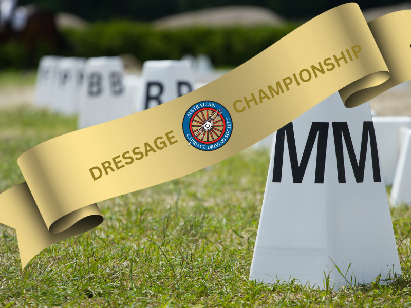 Dressage event photo. Dressage arena letters and gold ribbon overlay with ACDS logo. Click here to be taken to the Australian Championship event