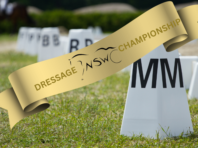 Dressage event photo. Dressage arena letters and gold ribbon overlay with NSW logo. Click here to be taken to the NSW Championship event
