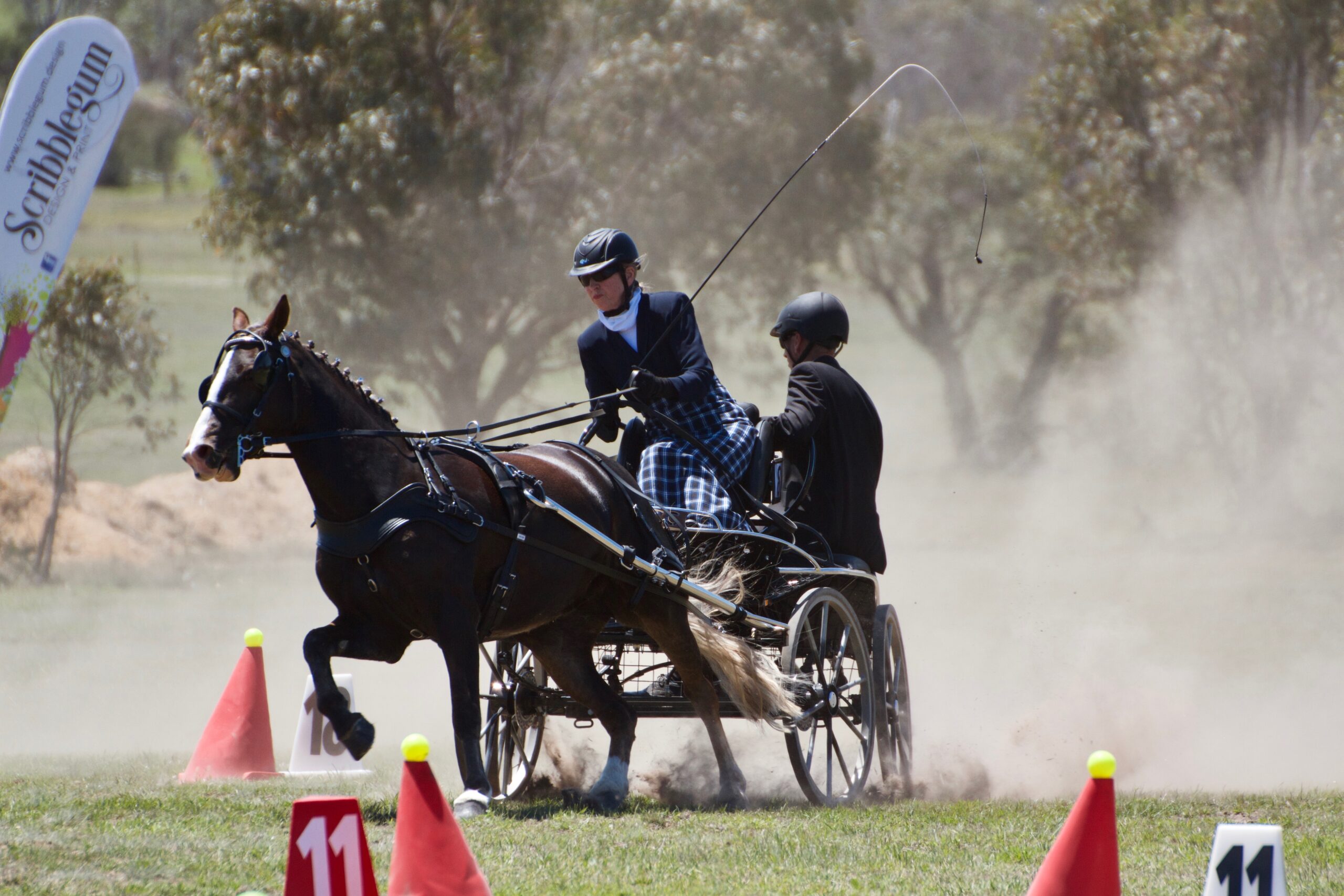 single horse driving cones throwing up dust